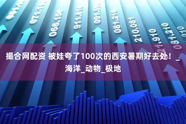 撮合网配资 被娃夸了100次的西安暑期好去处！_海洋_动物_极地