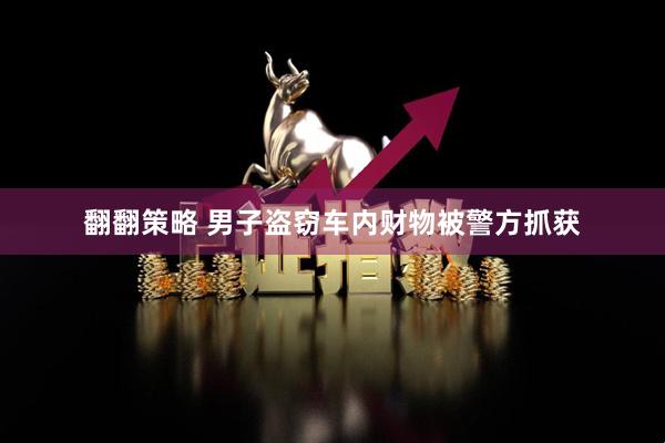 翻翻策略 男子盗窃车内财物被警方抓获