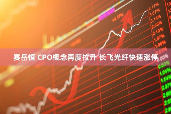 赛岳恒 CPO概念再度拉升 长飞光纤快速涨停