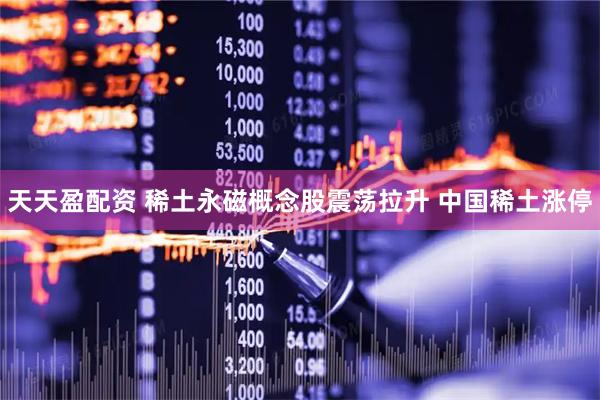 天天盈配资 稀土永磁概念股震荡拉升 中国稀土涨停