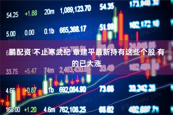 鹏配资 不止寒武纪 章建平最新持有这些个股 有的已大涨