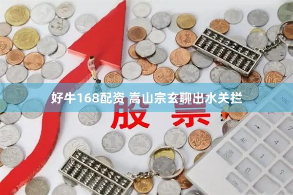 好牛168配资 嵩山宗玄聊出水关拦