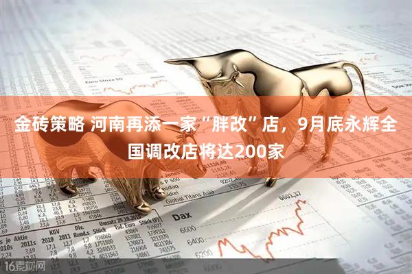 金砖策略 河南再添一家“胖改”店，9月底永辉全国调改店将达200家