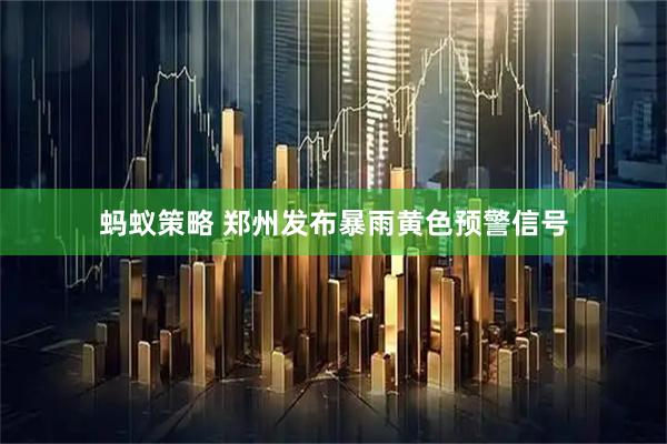 蚂蚁策略 郑州发布暴雨黄色预警信号