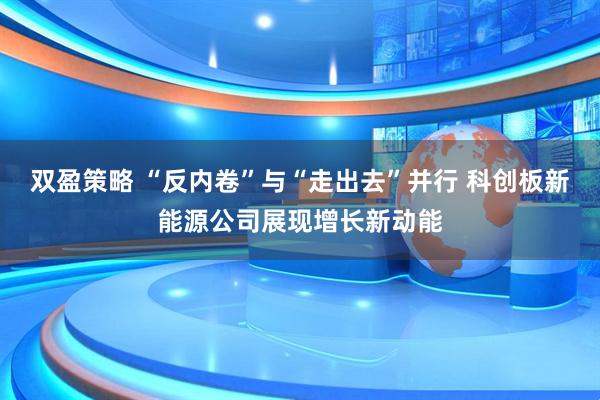 双盈策略 “反内卷”与“走出去”并行 科创板新能源公司展现增长新动能